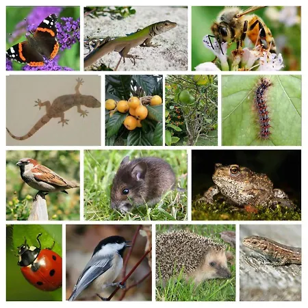 Casa Lady D'avila Willa Aljezur